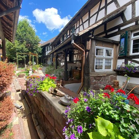 La Ferme De Grand Mere Furchhausen Buitenkant foto